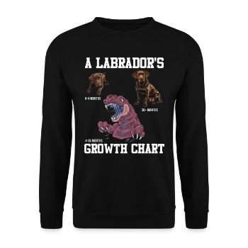 Labrador Liebhaber Labrador WACHSTUMSTABELLE - Unisex Pullover - Schwarz - Vorne - Alina (178cm) & Michal (187cm)