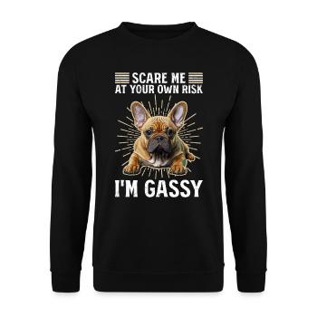 Frenchi Effrayez-moi à vos risques et périls Je suis gazeux - Sweat-shirt Unisexe - noir - Devant - Alina (178cm) & Michal (187cm)