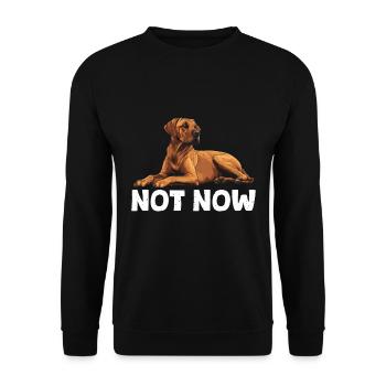 Rhodesian Ridgeback NOT NOW Propriétaires de chiens - Sweat-shirt Unisexe - noir - Devant - Alina (178cm) & Michal (187cm)