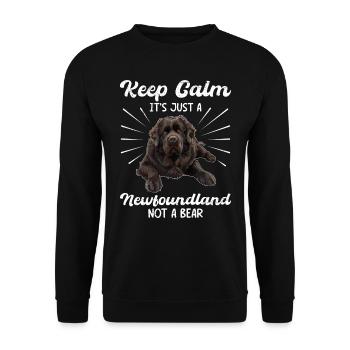 Neufundländer BLEIB COOL KEIN GRIZZLY BÄR NUR - Unisex Pullover - Schwarz - Vorne - Alina (178cm) & Michal (187cm)