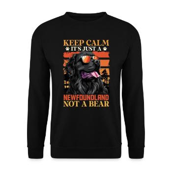 Neufundländer KEEP CALM IT'S JUST A NEWFOUNDLAND - Unisex Sweatshirt - black - Front - Alina (178cm) & Michal (187cm)