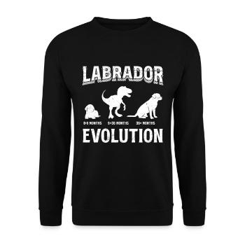 Labrador EVOLUTION Labrador Lover Drôle - Sweat-shirt Unisexe - noir - Devant - Alina (178cm) & Michal (187cm)
