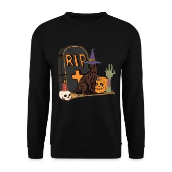 Cute and creepy Havana Halloween cat - Unisex Sweatshirt - black - Front - Alina (178cm) & Michal (187cm)