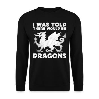 I was told that there would be dragons - Unisex Sweatshirt - black - Front - Alina (178cm) & Michal (187cm)