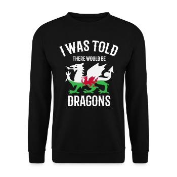 I was told that there would be dragons - Unisex Sweatshirt - black - Front - Alina (178cm) & Michal (187cm)