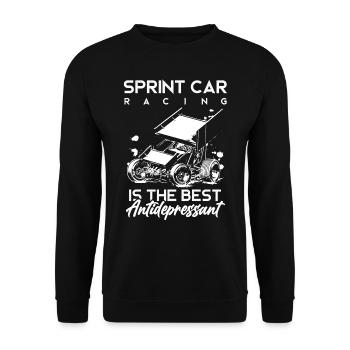 Sprint car races, sprint cars, dirt track races - Unisex Sweatshirt - black - Front - Alina (178cm) & Michal (187cm)