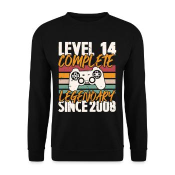Niveau 14 Complet Vintage Anniversaire 14 Ans - Sweat-shirt Unisexe - noir - Devant - Alina (178cm) & Michal (187cm)