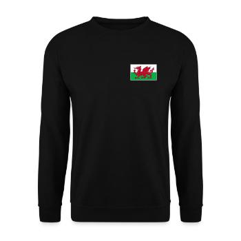 Wales Flagge Kollektion | Walisische Wurzeln - Unisex Pullover - Schwarz - Vorne - Alina (178cm) & Michal (187cm)