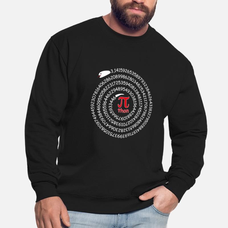 Pi Python Pun Circle Number Snake Math Unisex Sweatshirt