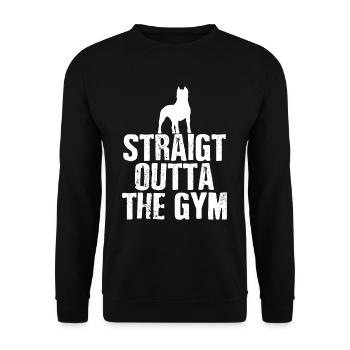 Pitbull Gym Power and Grace Athletic Design - Unisex Sweatshirt - black - Front - Alina (178cm) & Michal (187cm)