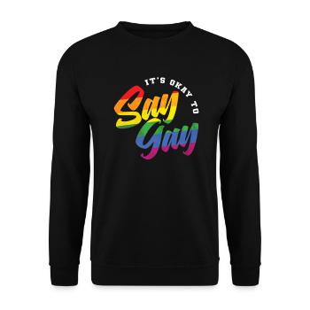 It's okay to say gay LGBT Pride - Unisex Pullover - Schwarz - Vorne - Alina (178cm) & Michal (187cm)