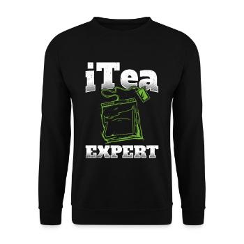 Informatiker Spruch It Experte Computer Nerd Admin - Unisex Pullover - Schwarz - Vorne - Alina (178cm) & Michal (187cm)
