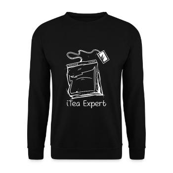 Informatiker Spruch It Experte Computer Nerd Admin - Unisex Pullover - Schwarz - Vorne - Alina (178cm) & Michal (187cm)