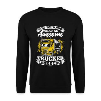 Now You Know What A Great Trucker Looks Like Tr - Unisex Sweatshirt - black - Front - Alina (178cm) & Michal (187cm)