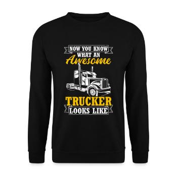 Jetzt weißt du, wie ein toller Trucker aussieht Tr - Unisex Pullover - Schwarz - Vorne - Alina (178cm) & Michal (187cm)