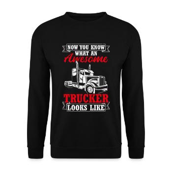 Now You Know What A Great Trucker Looks Like Tr - Unisex Sweatshirt - black - Front - Alina (178cm) & Michal (187cm)