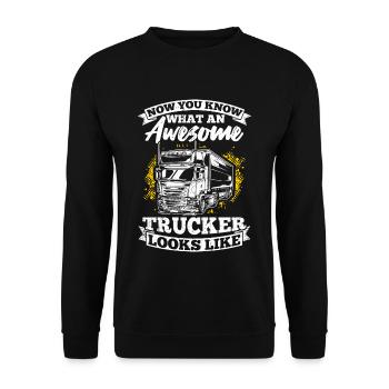Truck Diesel Highway Best Job Money Truck Driver L - Unisex Sweatshirt - black - Front - Alina (178cm) & Michal (187cm)