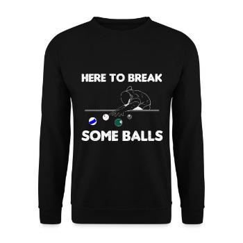 Poolspieler Billardspieler - Unisex Pullover - Schwarz - Vorne - Alina (178cm) & Michal (187cm)