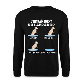 L'Entrainement du Labrador Idée Cadeau Chien - Sweat-shirt Unisexe - noir - Devant - Alina (178cm) & Michal (187cm)