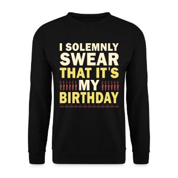 Warnung Ich Kann Spontan Über Flugzeuge Pilot - Unisex Pullover - Schwarz - Vorne - Alina (178cm) & Michal (187cm)