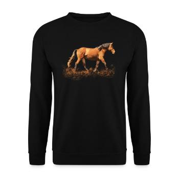 Reiten Pferd Pferde Pferdenarr Pferdenärrin Reiter - Unisex Pullover - Schwarz - Vorne - Alina (178cm) & Michal (187cm)