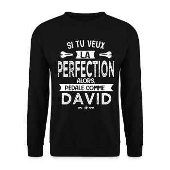 david si tu veux la perfection à vélo cycliste - Sweat-shirt Unisexe - noir - Devant - Alina (178cm) & Michal (187cm)