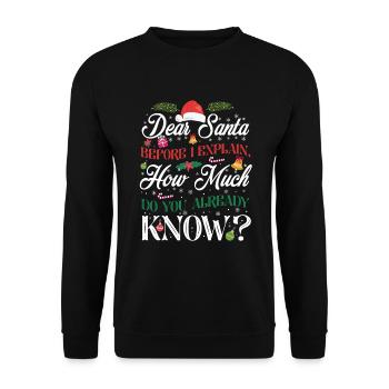 Christmas Dear Santa How Much Do You Know - Unisex Sweatshirt - black - Front - Alina (178cm) & Michal (187cm)