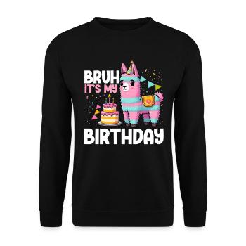 Lama Pinata Süße Alpaka -Tiergeburtstagsfiesta - Unisex Pullover - Schwarz - Vorne - Alina (178cm) & Michal (187cm)