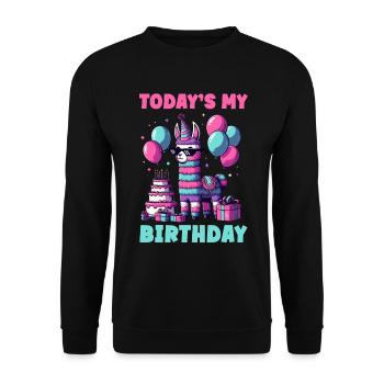 Lama Pinata Süße Alpaka -Tiergeburtstagsfiesta - Unisex Pullover - Schwarz - Vorne - Alina (178cm) & Michal (187cm)