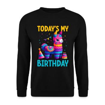 Lama Pinata Süße Alpaka -Tiergeburtstagsfiesta - Unisex Pullover - Schwarz - Vorne - Alina (178cm) & Michal (187cm)