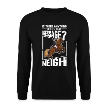 Gibt es etwas Besseres als Dressurreiten? Neigh - - Unisex Pullover - Schwarz - Vorne - Alina (178cm) & Michal (187cm)