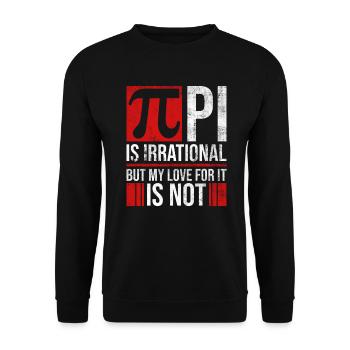 Lehrer Mathe Pi Day Mathematik Spruch - Unisex Pullover - Schwarz - Vorne - Alina (178cm) & Michal (187cm)
