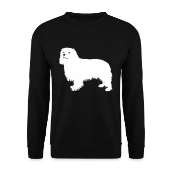 Cavalier King Charles Spaniel - Unisex Sweatshirt - black - Front - Alina (178cm) & Michal (187cm)
