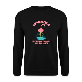 Flamingo Oma Pink Vogel Zoo Sommer Urlaub Geschenk - Unisex Pullover - Schwarz - Vorne - Alina (178cm) & Michal (187cm)