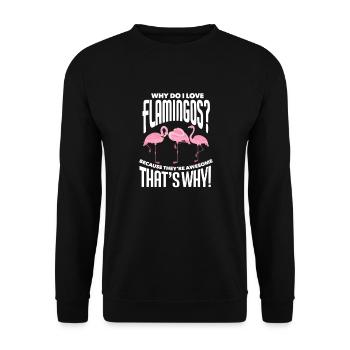 Flamant - Sweat-shirt Unisexe - noir - Devant - Alina (178cm) & Michal (187cm)