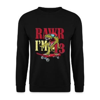 Birth Born Age 13 Years Old Dinosaur Skateboard - Unisex Sweatshirt - black - Front - Alina (178cm) & Michal (187cm)