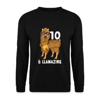 Kawaii Naissance Né 10 ans Alpaga Llama - Sweat-shirt Unisexe - noir - Devant - Alina (178cm) & Michal (187cm)