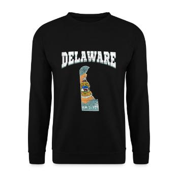 US America State Flag Land Map Delaware - Unisex Pullover - Schwarz - Vorne - Alina (178cm) & Michal (187cm)