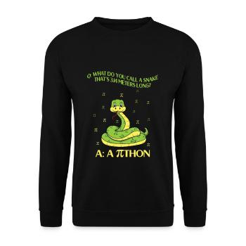 Pi-Tag Fun: What do you call a 3.14 meter long - Unisex Sweatshirt - black - Front - Alina (178cm) & Michal (187cm)