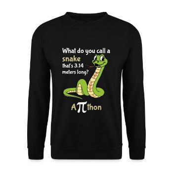 Comment appelle-t-on une balise Snake Pi - Sweat-shirt Unisexe - noir - Devant - Alina (178cm) & Michal (187cm)