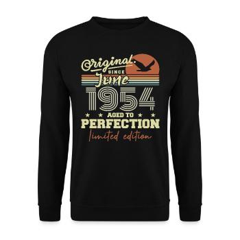 Born in June 1954, June 1954, Born June 1954 June 1954 - Unisex Sweatshirt - black - Front - Alina (178cm) & Michal (187cm)
