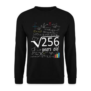 Square root 256 = 16 year old birthday - Unisex Sweatshirt - black - Front - Alina (178cm) & Michal (187cm)