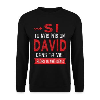 David Si tu n as pas un David dans ta vie - Sweat-shirt Unisexe - noir - Devant - Alina (178cm) & Michal (187cm)