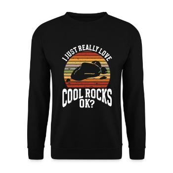 Geologe Steine Steinsammler - Unisex Pullover - Schwarz - Vorne - Alina (178cm) & Michal (187cm)