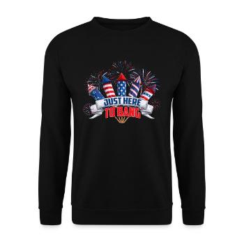 Just Here To Bang Fireworks American Flag - Unisex Sweatshirt - black - Front - Alina (178cm) & Michal (187cm)