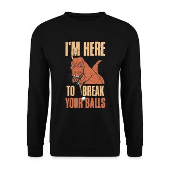 At Here To Break Your Balls Billiards Gift - Unisex Sweatshirt - black - Front - Alina (178cm) & Michal (187cm)