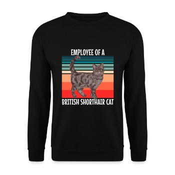 Employé d’un chat britannique à poil court - Sweat-shirt Unisexe - noir - Devant - Alina (178cm) & Michal (187cm)