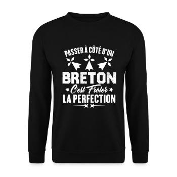 Passer à côté d'un breton frôler la perfection - Sweat-shirt Unisexe - noir - Devant - Alina (178cm) & Michal (187cm)