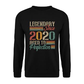 Vintage 2020 Cadeau D'anniversaire Rétro - Sweat-shirt Unisexe - noir - Devant - Alina (178cm) & Michal (187cm)
