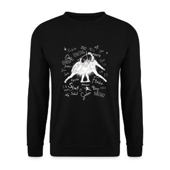 Fechten Begriffe Training Geschenk - Unisex Pullover - Schwarz - Vorne - Alina (178cm) & Michal (187cm)